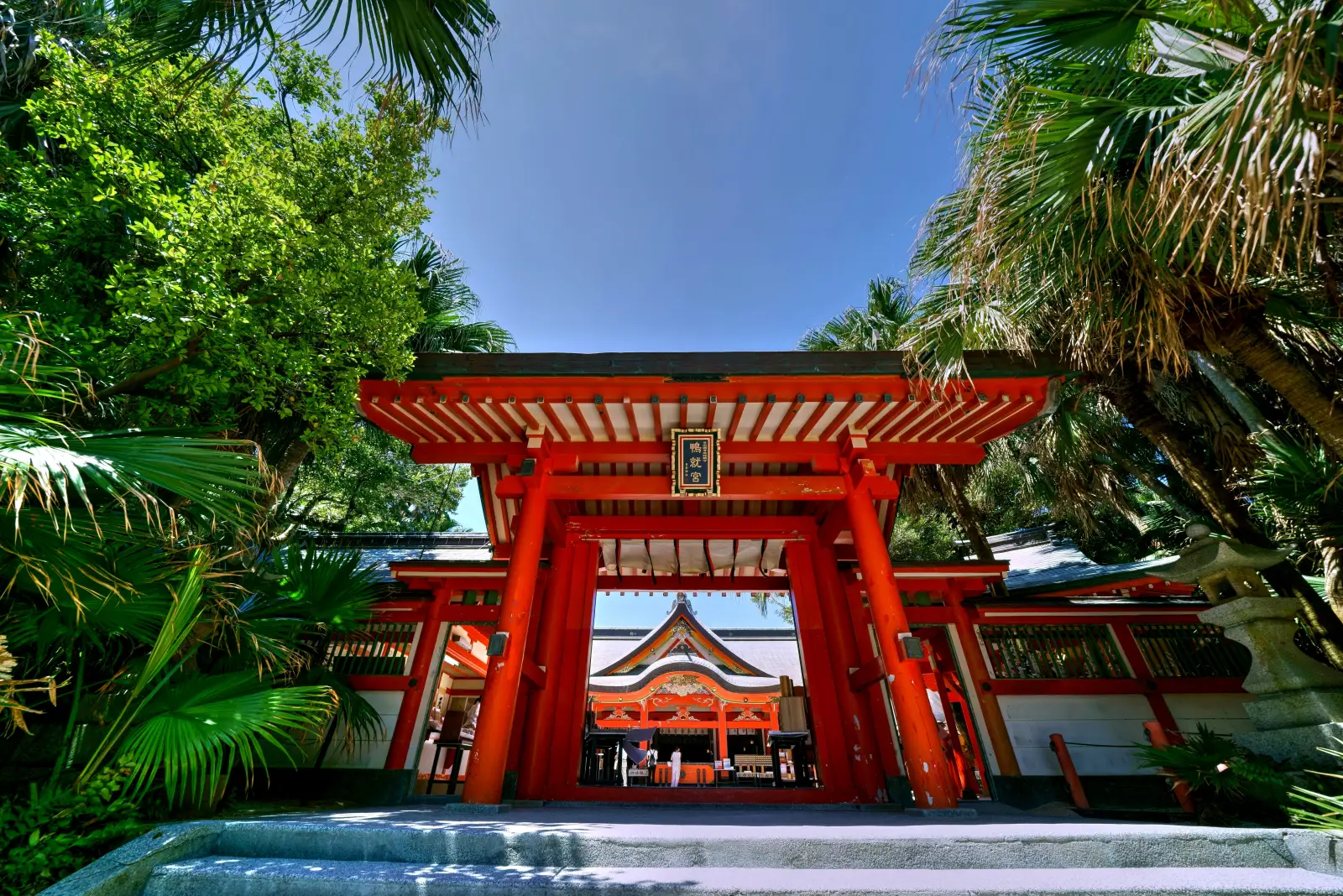 青岛神社的朱红色大门，四周环绕着亚热带树木