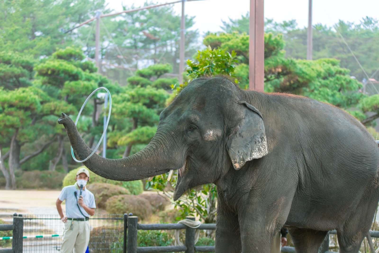 宮崎フェニックス自然動物園